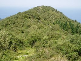 Arnoko Gurutzea Banderako Puntatik ikusita