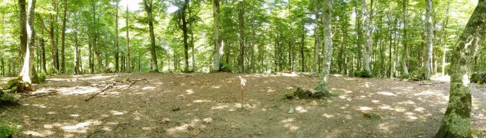 Mendebaldeko tontorra