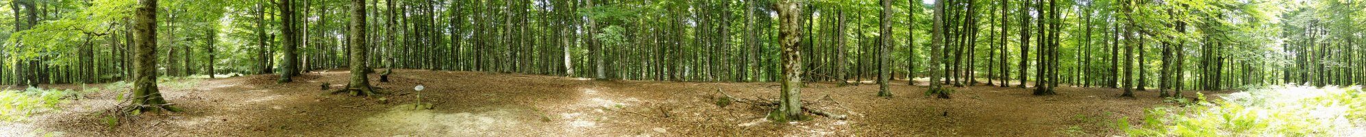 Erdiko tontorretik 360ºtako ikuspegia