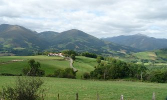 Irulegi, Jarako bidetik