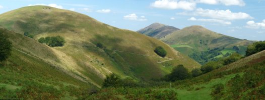 Lizartzuko konkor belartsua eta Artzamendi-Eguzkimendi hondoan