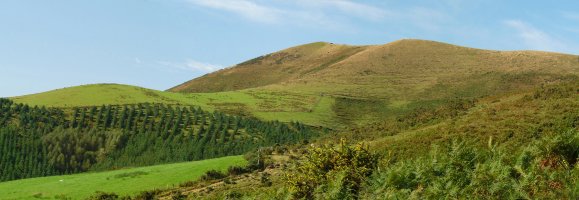 Lizartzu Eguzkimendiko hegietatik