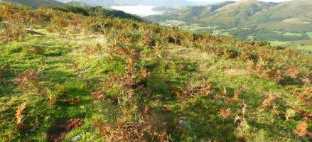 Larrakagaña-Aizalegi