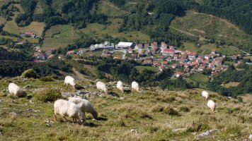 Betelu, Hegoaldeko bizkarretik