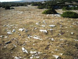 Irunsarioko Bidea hego