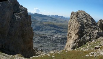 Arrakala erraldoia gandorrean