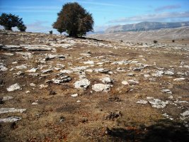 Larrenganbelako Aldapa