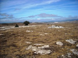 Sima de los Carneros