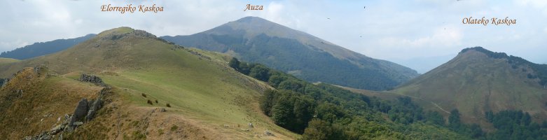 Elorriko Kaskoa, Auza eta Olate