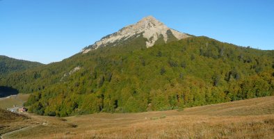 Txamantxoia Petrechemako lepoko bidetik