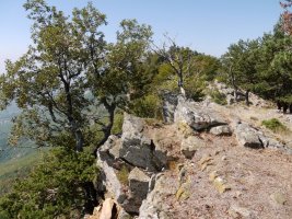 Tontorraren inguruak