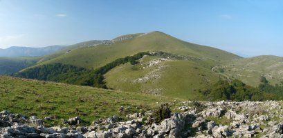 Hauskoa eta Olhamendiko lepoa iparraldetik