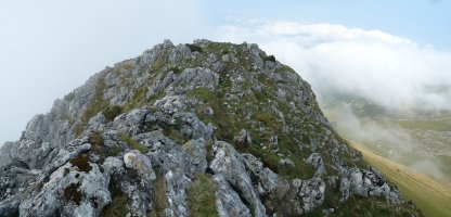 Behorlegiko gandorra