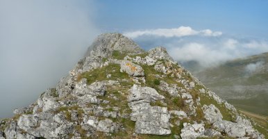 Behorlegiko gandorra