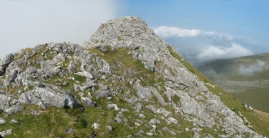 Behorlegiko gailurra