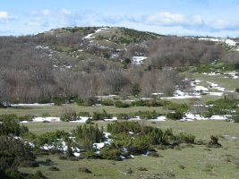 Iparraldeko isurialdea