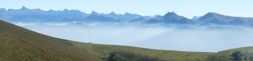 Pirinioak Iratzabaleta lepoaren gainean
