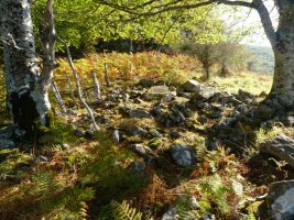 Arbaieta Ekialde (Arballeta 4)