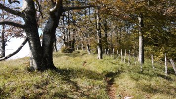 Tontorraren inguruak