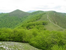 Ekialdetik (Sanmigelargain)