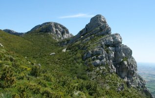 HMko gandorraren muturra