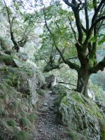 Minetako isurialdeko bidea