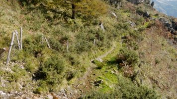 Bidea Aritxulegiko gain aldean