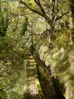 Ubidea, berritu gabeko tarte batean.