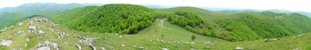 Tontorretik Hegoaldera begira