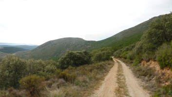 Bide zabaletik, Ibarra ikusgai