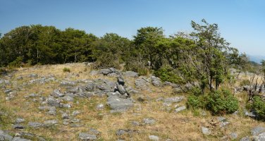 Artzeletako gailurra