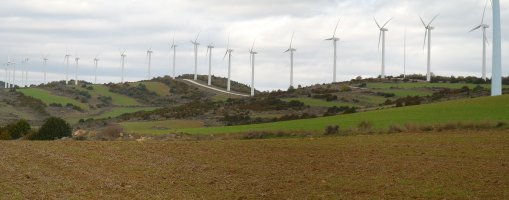 Izkoko gainak, haizerrotek hartuta