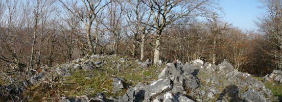 Intsusako Harmala, gailurra