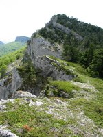 Mendebaldeko gandorretik