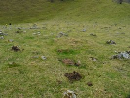 Adiko soroa hego tumulua