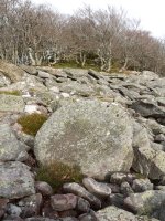 Errotarria tontorreko harrien artean