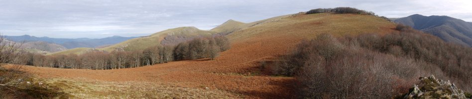 Algorrieta, Loiketa aldetik ikusita