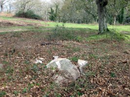 Arlauza puskaturik 2