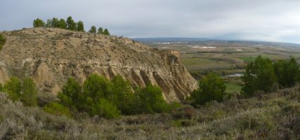 Higadurak sortutako diseinuak