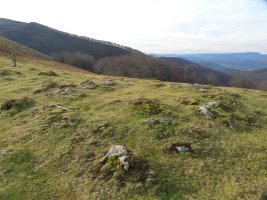 Sagardegiko lepoko harrespilak