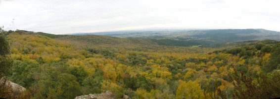 Erraza da antzematea Aritzdigorri izena nondik datorkion mendiari