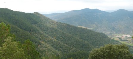 Aritzdigorri ekialdetik