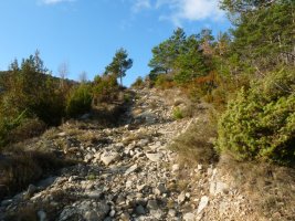 Bide malkartsua iparraldeko leporantz