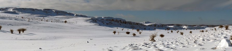 Dorrokotekako gandorrak 