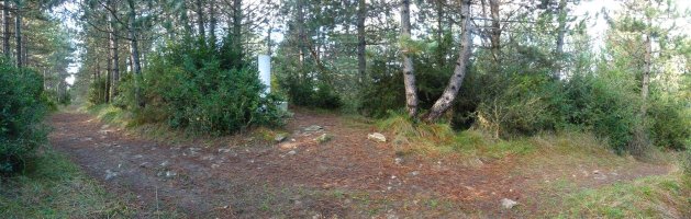 Amiñagaingo gailurra