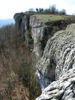 Ekialdeko gandorraren ikuspegia