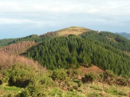 Akondia/Arrikurutzetik