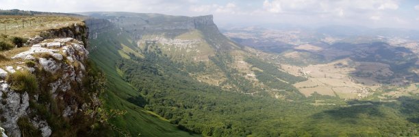 Bedarbidetik ikusita