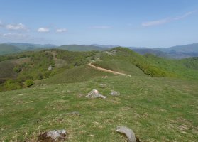 Sanmigelargaingo gailur bikoitza eta Bagaundiko lepoa