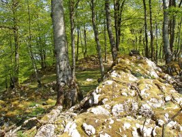 Sanmigelargaingo edo Bagaundiko gailurra